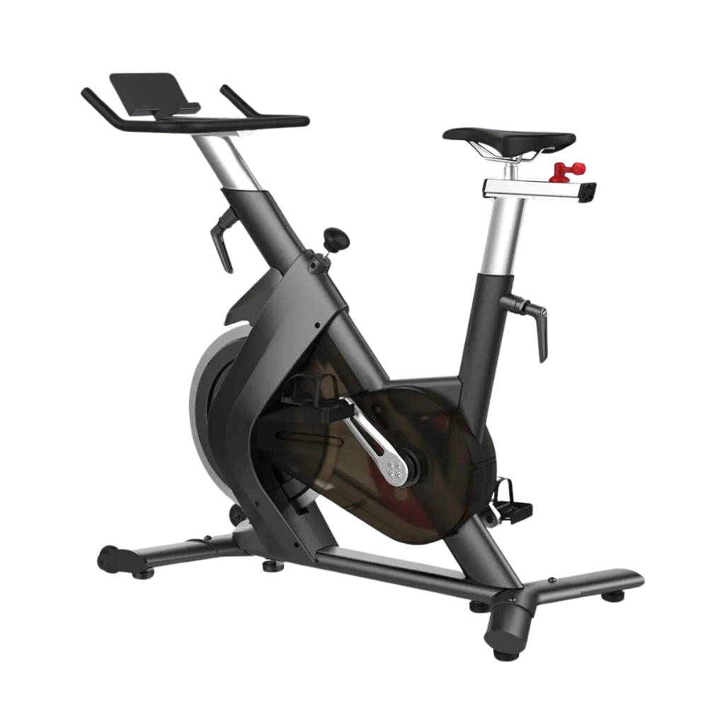 Bicicleta Spinning Phoenix S210 - Sport Fitness 071816